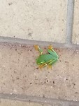 IMG_20191125_073703