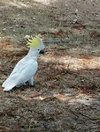 IMG_20191124_131457