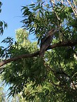 IMG_20191123_165439