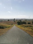 IMG_20191130_160432