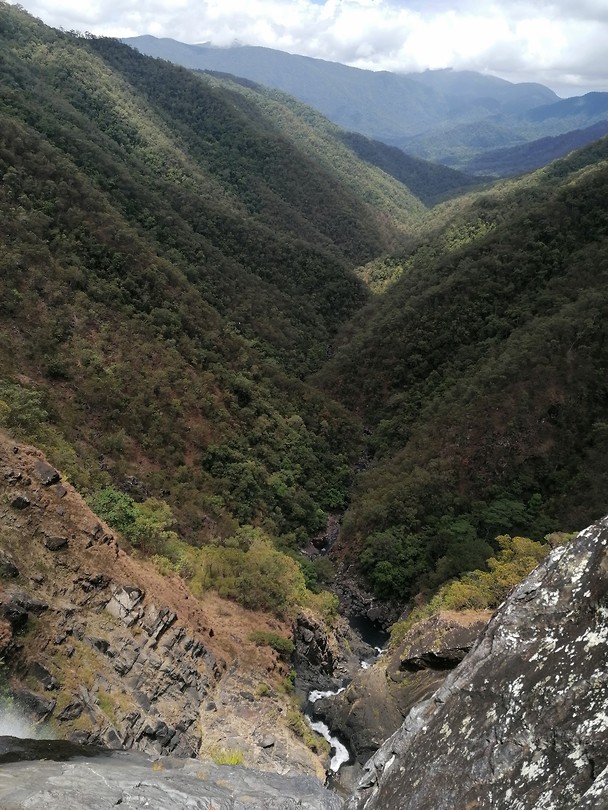 Windinfalls