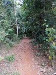 IMG_20191130_120246