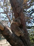 IMG_20191202_104415