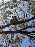 IMG_20191202_103700