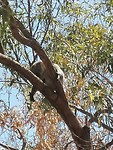 IMG_20191202_103432