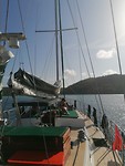 IMG_20191206_072622