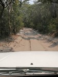 De dyk op Fraser Island