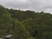De tree top walk