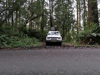 De autofotograaf liet sich efkes gean ;)