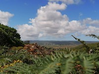 IMG_20200308_141215
