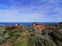 IMG_20200308_110027