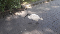 20190408_102104