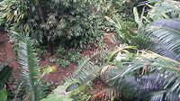 20190414_142325