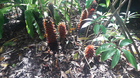 20190414_142348