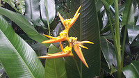 20190414_142900