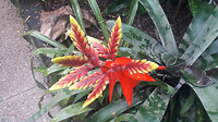 20190414_144842