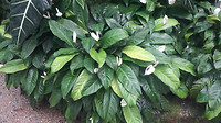 20190414_145024