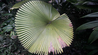 20190414_145205