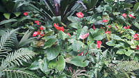 20190414_145215