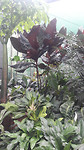 20190414_145310