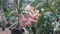 20190414_145435