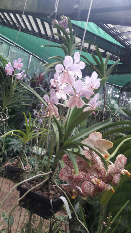 20190414_145445