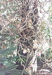 20190414_153642