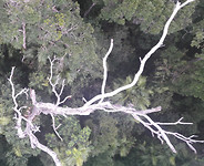 20190415_133834