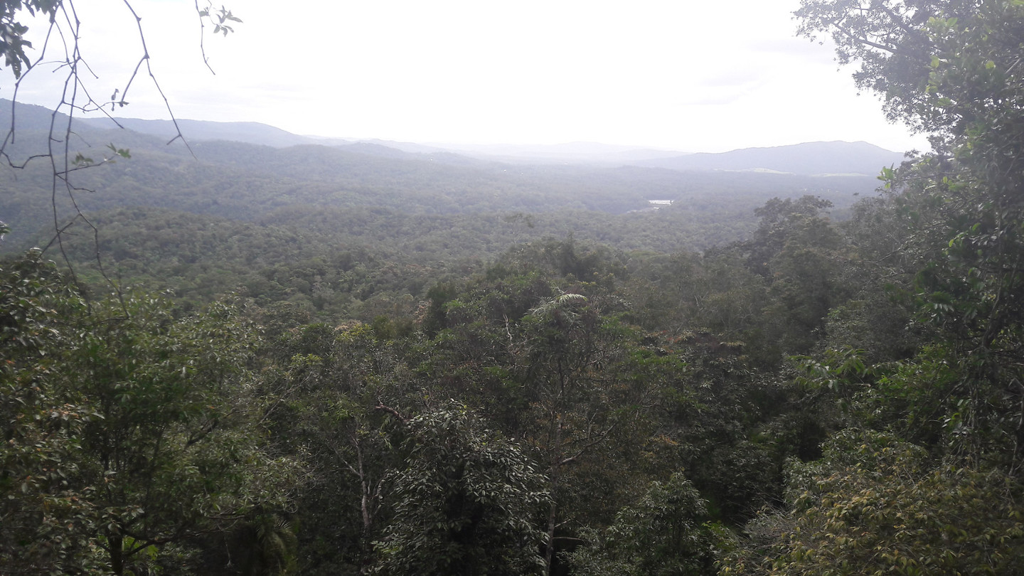20190415_134314