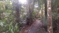 20190415_115859