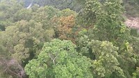 20190415_132703