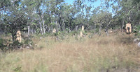 20190419_145927
