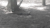 20190421_111049
