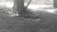 20190421_111054