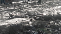 20190421_111226