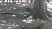 20190421_111428