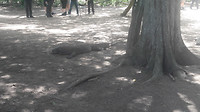 20190421_111752