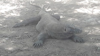 20190421_111946