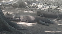 20190421_112048