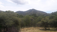 20190421_114424