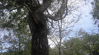 20190421_120450
