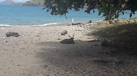 20190421_121210