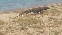 20190421_121544