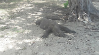 20190421_122822