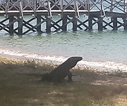 20190421_172425