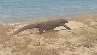 20190421_121533