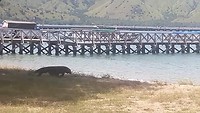 20190421_121442