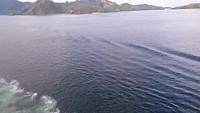 20190421_163915_001