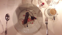 20190425_211001