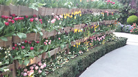 20190426_135332